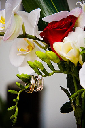 RetanaWeddingSLO_03092012-084